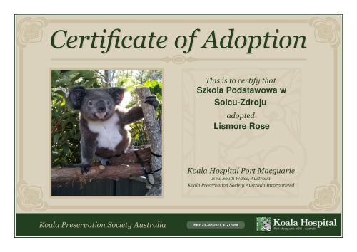 koala_adoption_certificate_zm.jpg